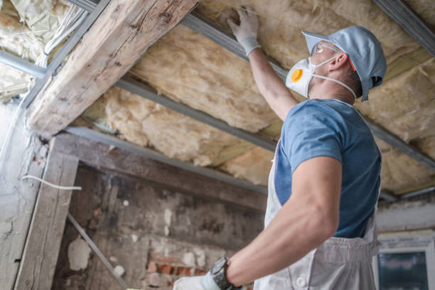 Professional Insulation Contractor in Plainfield, IL